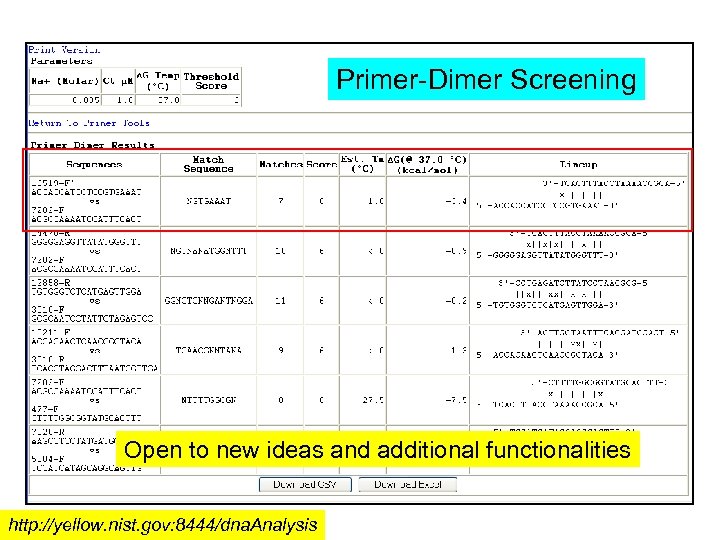 Primer-Dimer Screening Open to new ideas and additional functionalities http: //yellow. nist. gov: 8444/dna.
