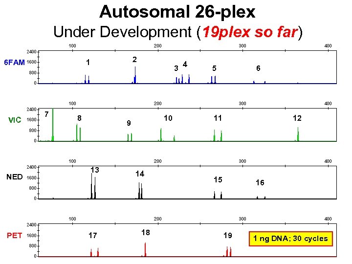 Autosomal 26 -plex Under Development (19 plex so far) VIC NED PET 2 1