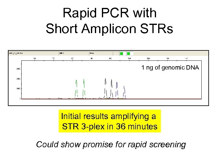 Rapid PCR with Short Amplicon STRs 1 ng of genomic DNA Initial results amplifying