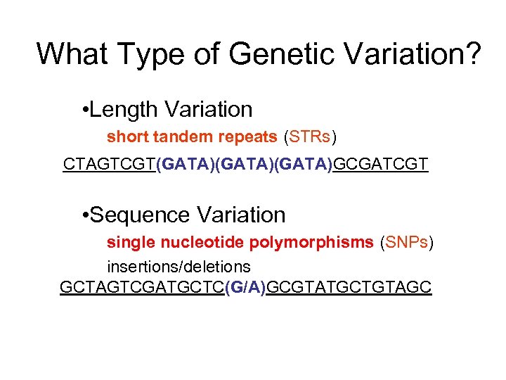 What Type of Genetic Variation? • Length Variation short tandem repeats (STRs) CTAGTCGT(GATA)(GATA)GCGATCGT •