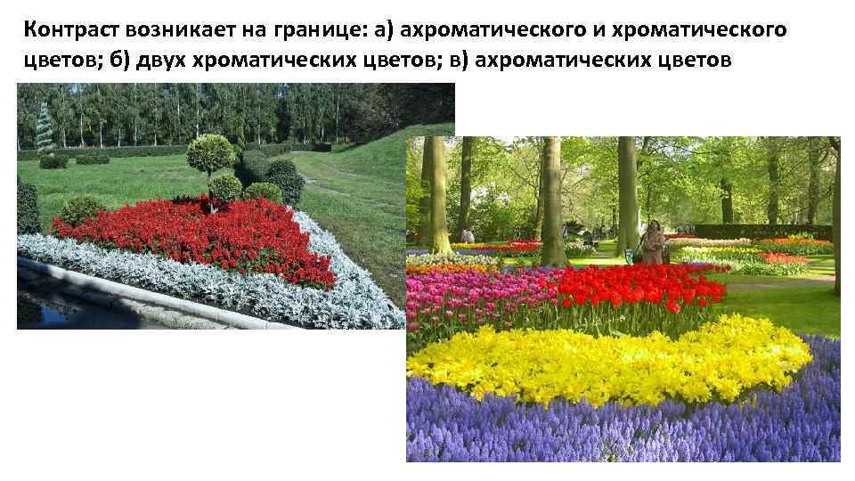 Контраст возникает на границе: а) ахроматического и хроматического цветов; б) двух хроматических цветов; в)