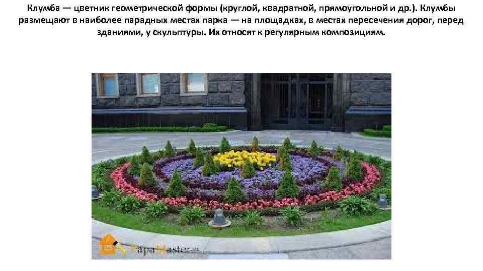Клумба — цветник геометрической формы (круглой, квадратной, прямоугольной и др. ). Клумбы размещают в