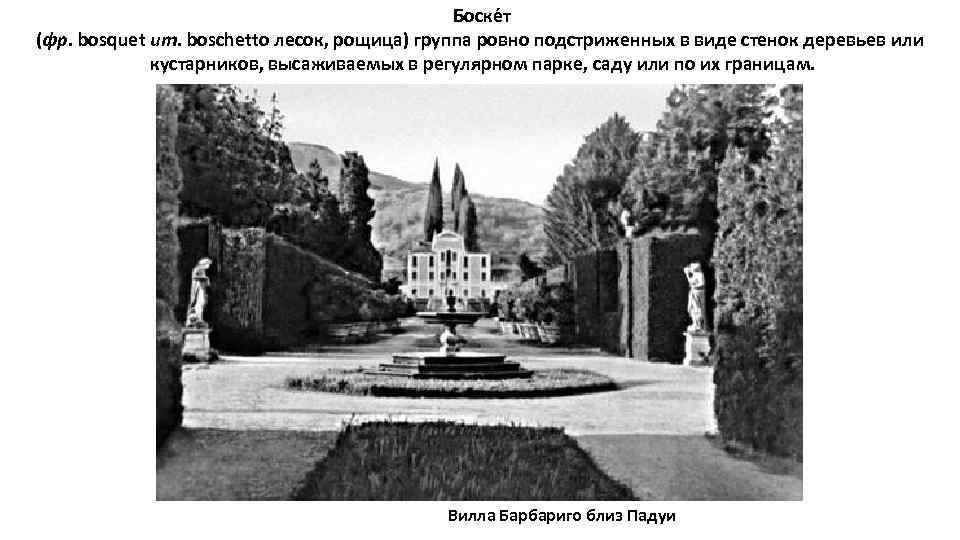  Боске т (фр. bosquet ит. boschetto лесок, рощица) группа ровно подстриженных в виде