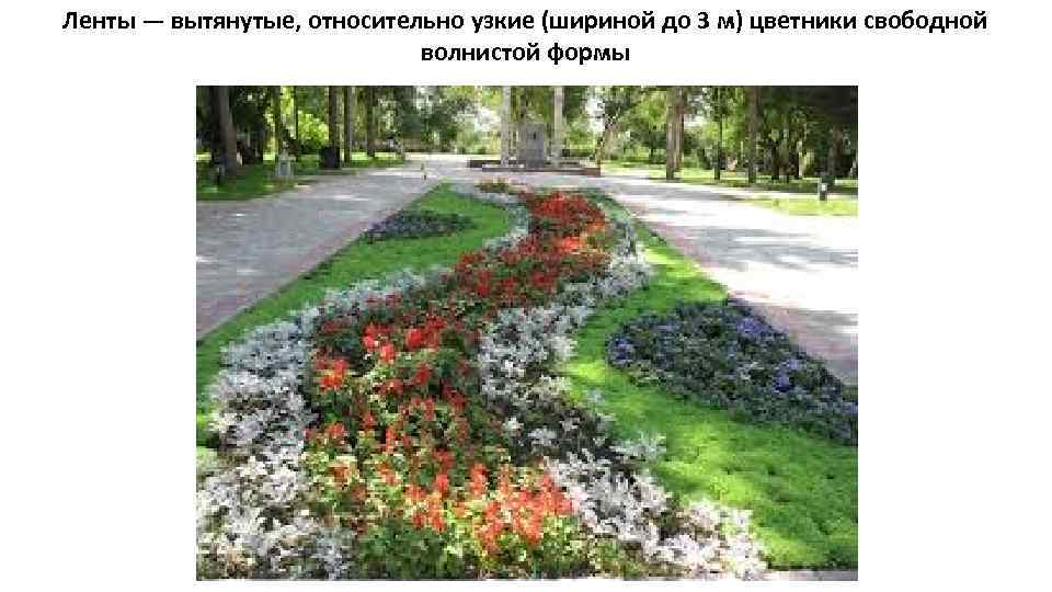 Ленты — вытянутые, относительно узкие (шириной до 3 м) цветники свободной волнистой формы 