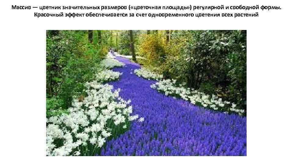 Массив — цветник значительных размеров ( «цветочная площадь» ) регулярной и свободной формы. Красочный