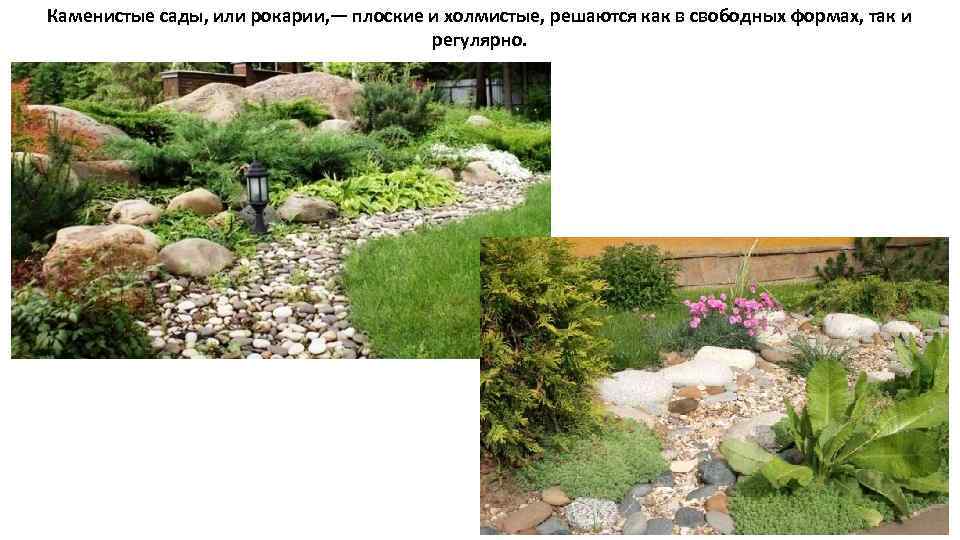 Каменистые сады, или рокарии, — плоские и холмистые, решаются как в свободных формах, так