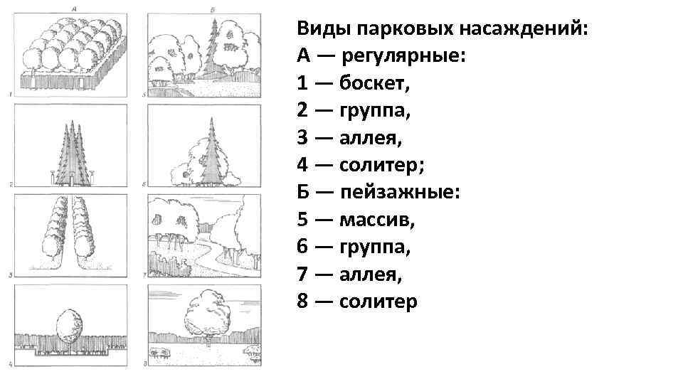 Виды парковых насаждений: А — регулярные: 1 — боскет, 2 — группа, 3 —