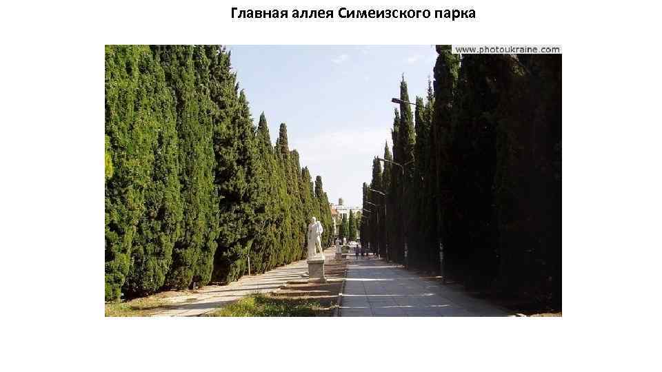 Главная аллея Симеизского парка 