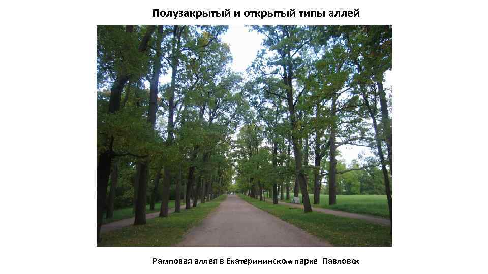 Полузакрытый и открытый типы аллей Рамповая аллея в Екатерининском парке Павловск 