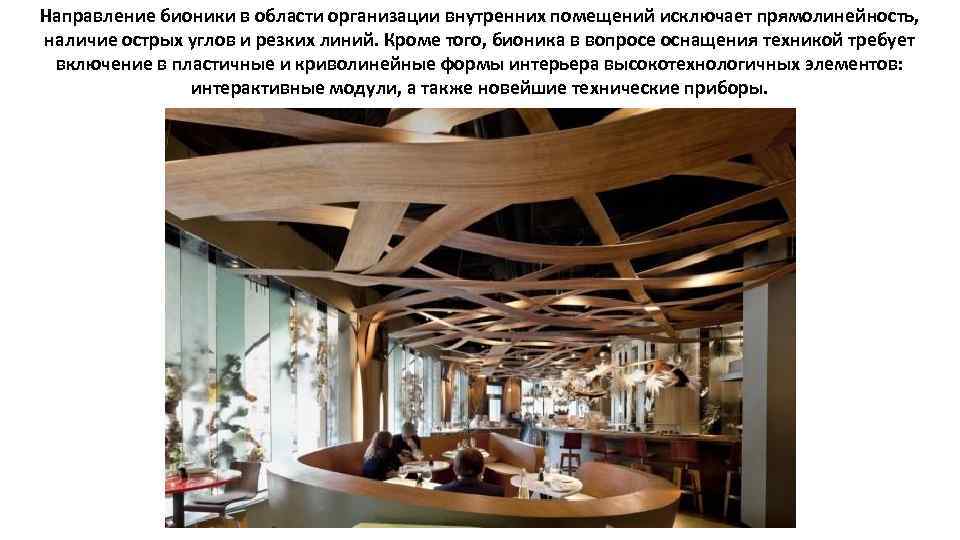 Направление бионики в области организации внутренних помещений исключает прямолинейность, наличие острых углов и резких