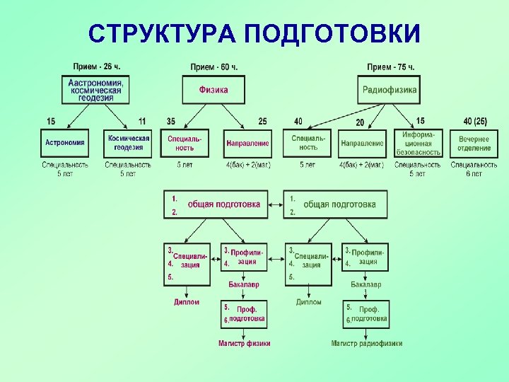 СТРУКТУРА ПОДГОТОВКИ 