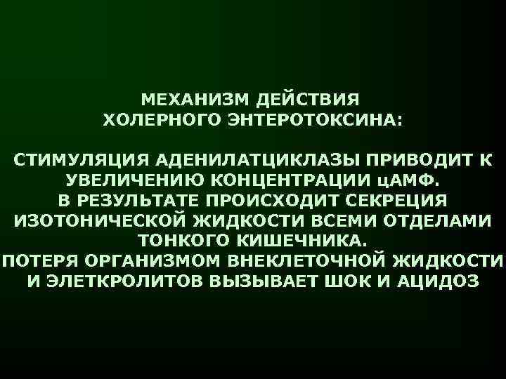 МЕХАНИЗМ ДЕЙСТВИЯ ХОЛЕРНОГО ЭНТЕРОТОКСИНА: СТИМУЛЯЦИЯ АДЕНИЛАТЦИКЛАЗЫ ПРИВОДИТ К УВЕЛИЧЕНИЮ КОНЦЕНТРАЦИИ ц. АМФ. В РЕЗУЛЬТАТЕ