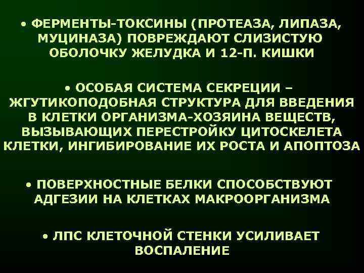  • ФЕРМЕНТЫ-ТОКСИНЫ (ПРОТЕАЗА, ЛИПАЗА, МУЦИНАЗА) ПОВРЕЖДАЮТ СЛИЗИСТУЮ ОБОЛОЧКУ ЖЕЛУДКА И 12 -П. КИШКИ