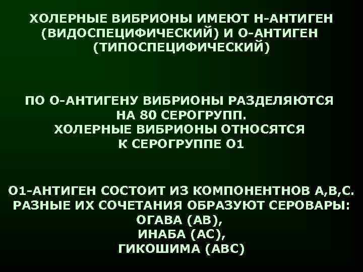ХОЛЕРНЫЕ ВИБРИОНЫ ИМЕЮТ Н-АНТИГЕН (ВИДОСПЕЦИФИЧЕСКИЙ) И О-АНТИГЕН (ТИПОСПЕЦИФИЧЕСКИЙ) ПО О-АНТИГЕНУ ВИБРИОНЫ РАЗДЕЛЯЮТСЯ НА 80
