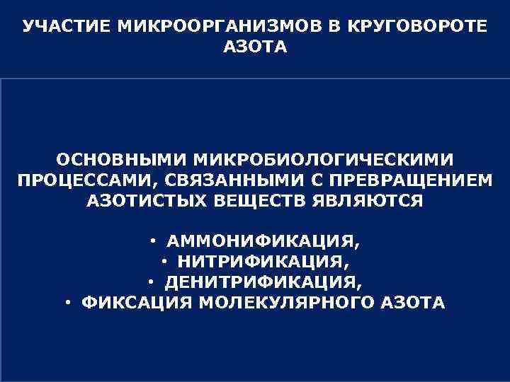 УЧАСТИЕ МИКРООРГАНИЗМОВ В КРУГОВОРОТЕ АЗОТА ОСНОВНЫМИ МИКРОБИОЛОГИЧЕСКИМИ ПРОЦЕССАМИ, СВЯЗАННЫМИ С ПРЕВРАЩЕНИЕМ АЗОТИСТЫХ ВЕЩЕСТВ ЯВЛЯЮТСЯ