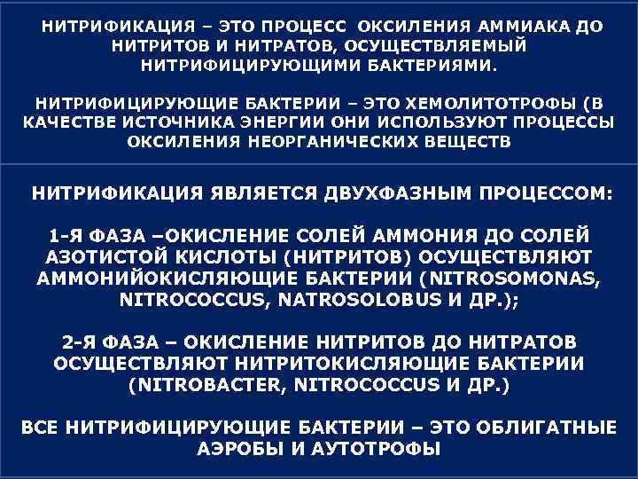 НИТРИФИКАЦИЯ – ЭТО ПРОЦЕСС ОКСИЛЕНИЯ АММИАКА ДО НИТРИТОВ И НИТРАТОВ, ОСУЩЕСТВЛЯЕМЫЙ НИТРИФИЦИРУЮЩИМИ БАКТЕРИЯМИ. НИТРИФИЦИРУЮЩИЕ