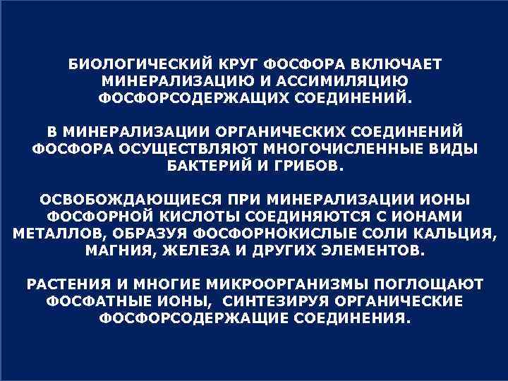 Биогеохимическая деятельность микроорганизмов презентация