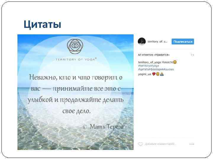 Цитаты 