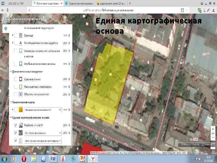 Единая картографическая основа 