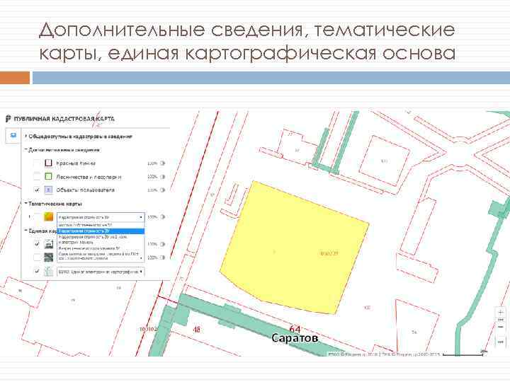 Дополнительные сведения, тематические карты, единая картографическая основа 