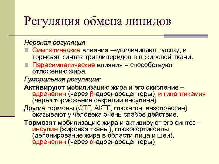 Регуляция обмена липидов Нервная регуляция: регуляция n Симпатические влияния →увеличивают распад и тормозят синтез