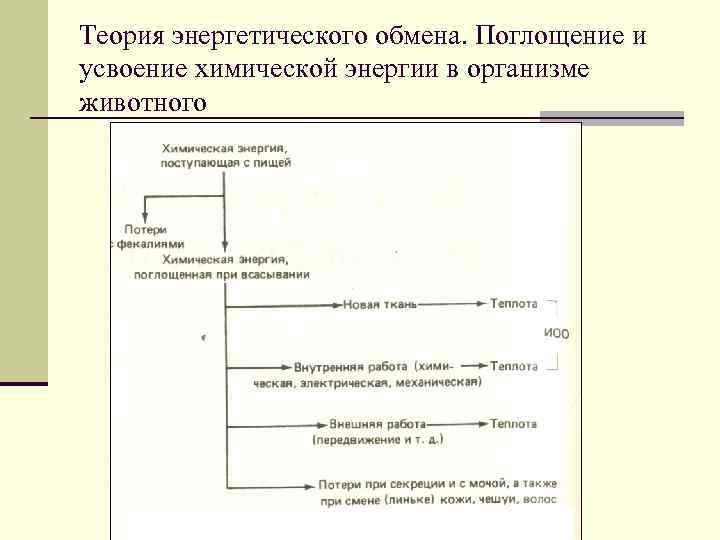 Теория энергетического обмена. Поглощение и усвоение химической энергии в организме животного 