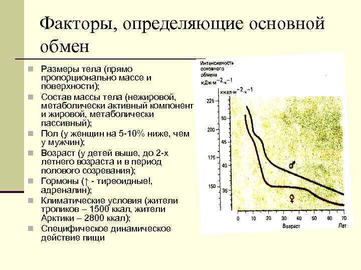 Прямо основной