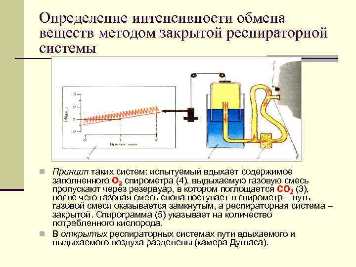 Принцип их