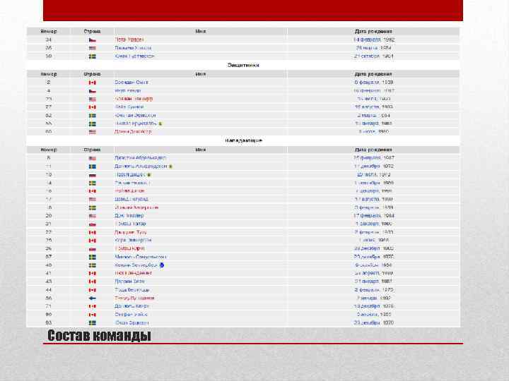 Состав команды 