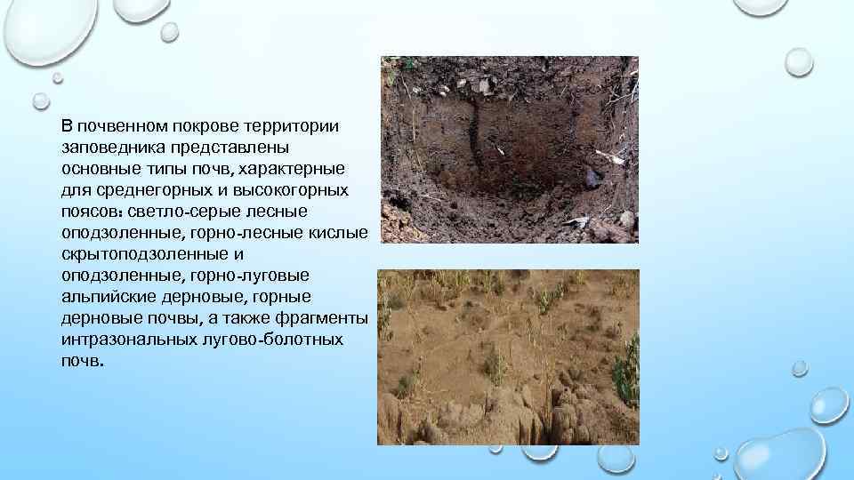 В почвенном покрове территории заповедника представлены основные типы почв, характерные для среднегорных и высокогорных