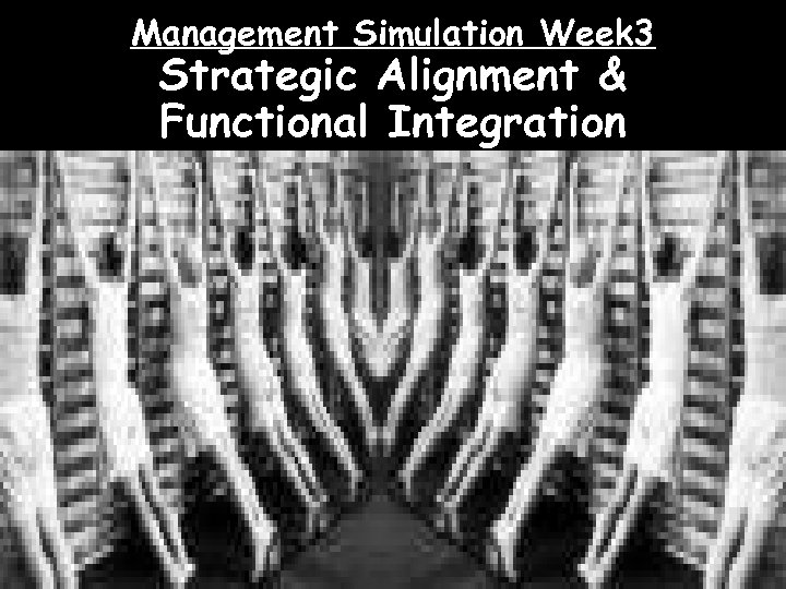 Management Simulation Week 3 Strategic Alignment & Functional Integration 