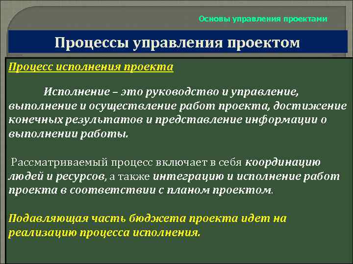 Руководство и управление исполнением проекта