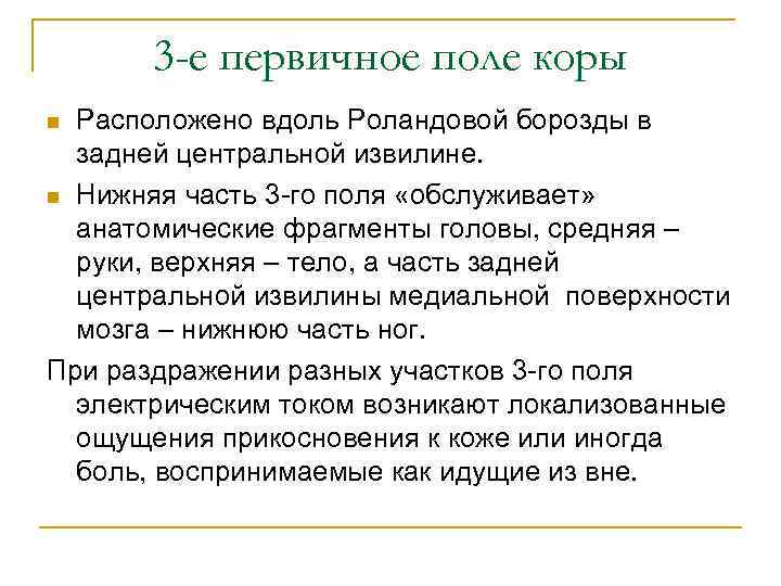 3 -е первичное поле коры Расположено вдоль Роландовой борозды в задней центральной извилине. n