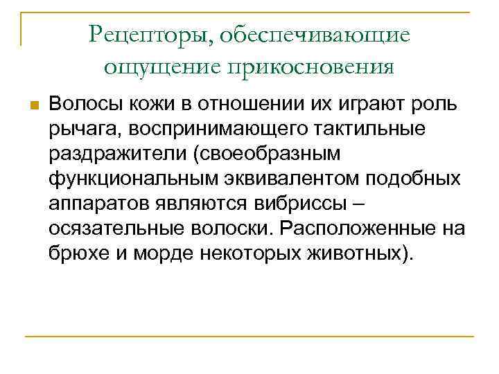 Рецепторы, обеспечивающие ощущение прикосновения n Волосы кожи в отношении их играют роль рычага, воспринимающего