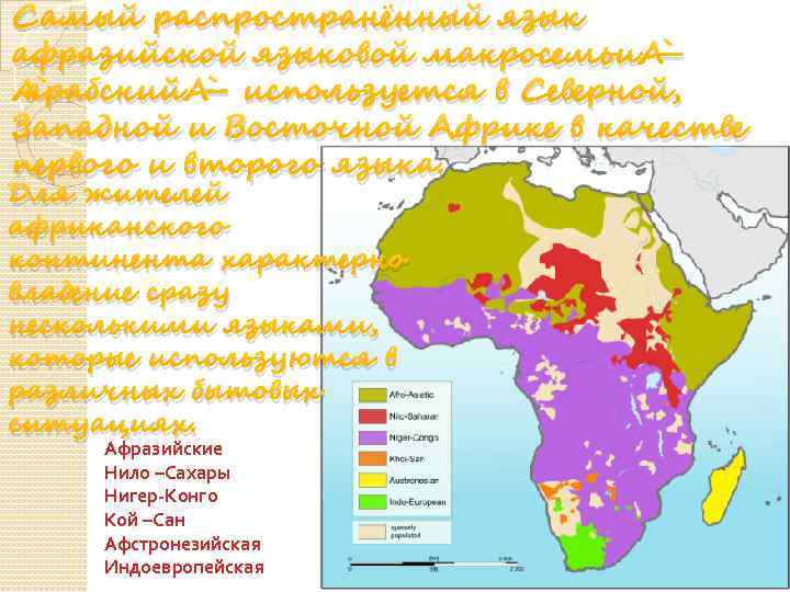  Самый распространённый язык афразийской языковой макросемьи — арабский — используется в Северной, Западной