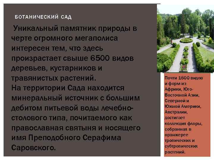 БОТАНИЧЕСКИЙ САД Уникальный памятник природы в черте огромного мегаполиса интересен тем, что здесь произрастает