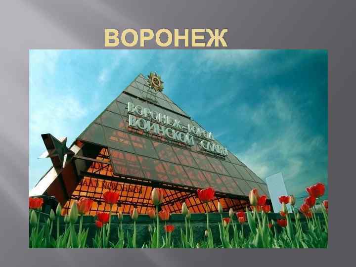 ВОРОНЕЖ 