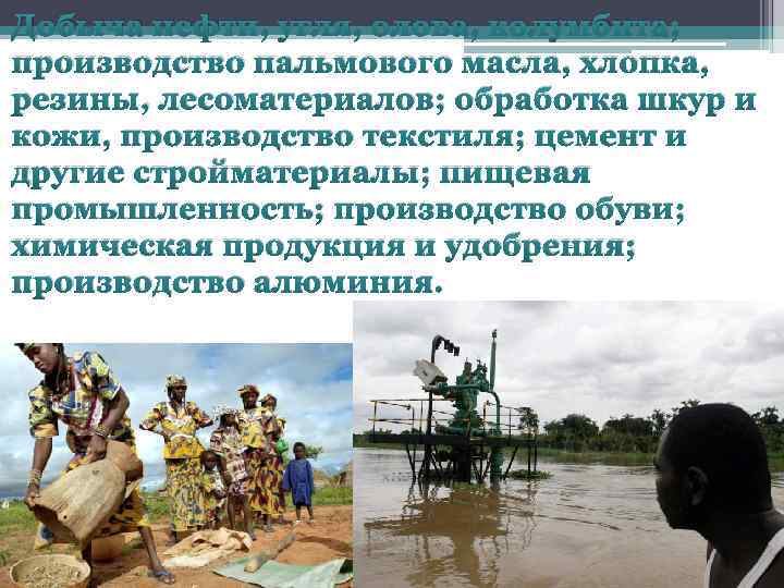  • Добыча нефти, угля, олова, колумбита; производство пальмового масла, хлопка, резины, лесоматериалов; обработка