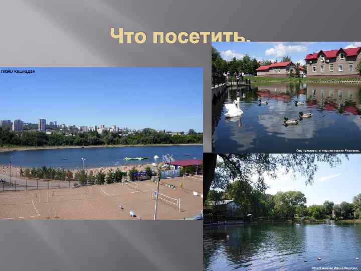 Что посетить. 