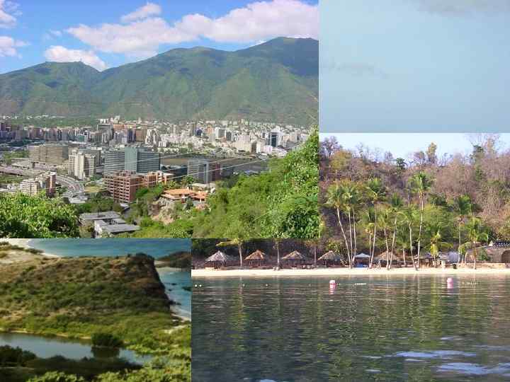 Климат n n n Климат Венесуэлы определяется чередованием влажных экваториальных воздушных масс при штилевой