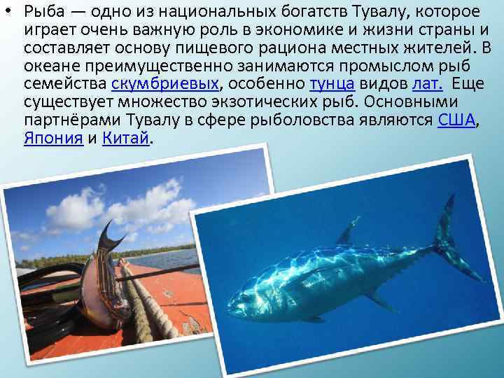  • Рыба — одно из национальных богатств Тувалу, которое играет очень важную роль