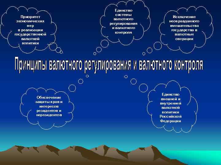 Приоритет экономических мер в реализации государственной валютной политики Обеспечение защиты прав и интересов резидентов