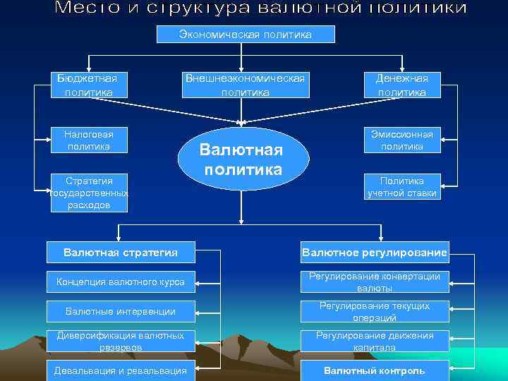 Экономическая политика Бюджетная политика Внешнеэкономическая политика Налоговая политика Стратегия государственных расходов Валютная политика Денежная
