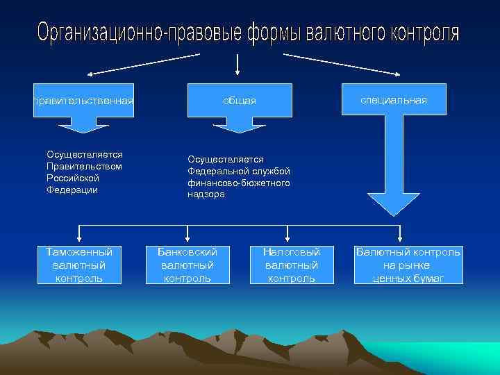 специальная правительственная общая Осуществляется Правительством Российской Федерации Осуществляется Федеральной службой финансово-бюжетного надзора Таможенный валютный