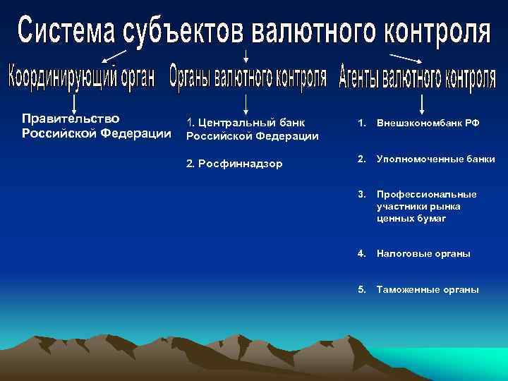 Правительство Российской Федерации 1. Центральный банк Российской Федерации 1. Внешэкономбанк РФ 2. Росфиннадзор 2.