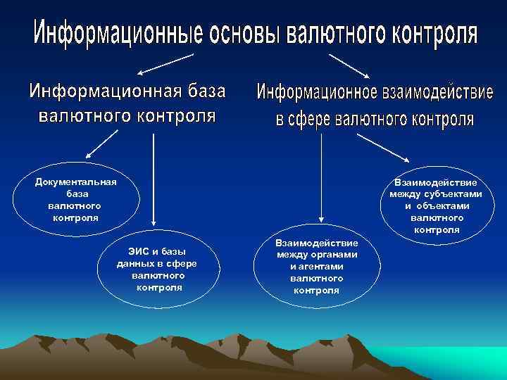 Документальная база валютного контроля ЭИС и базы данных в сфере валютного контроля Взаимодействие между