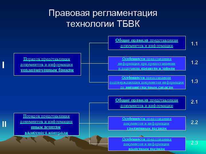 Правовая регламентация технологии ТБВК Общие правила представления документов и информации II 1. 2 1.