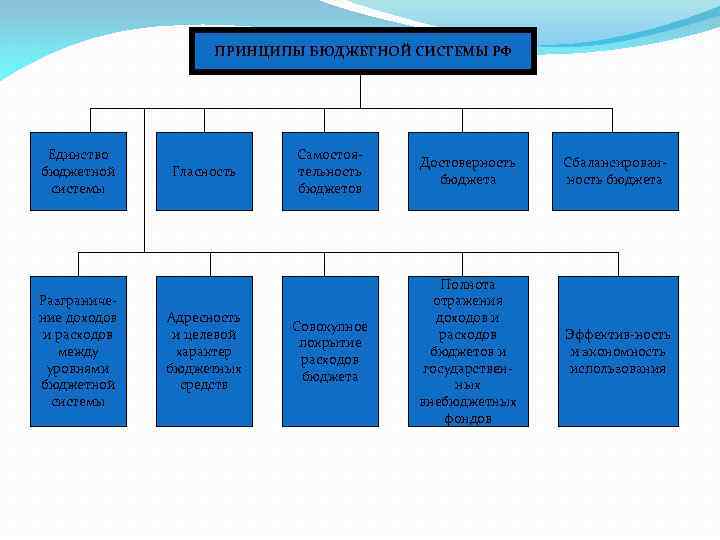 Принципы бюджетной системы. Принцип единства бюджетной системы РФ. Единство бюджетной системы. Принципы расходов бюджета. Принцип единства бюджетной системы РФ означает.
