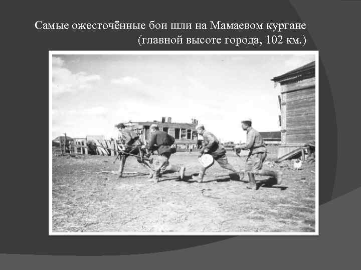 Самые ожесточённые бои шли на Мамаевом кургане (главной высоте города, 102 км. )