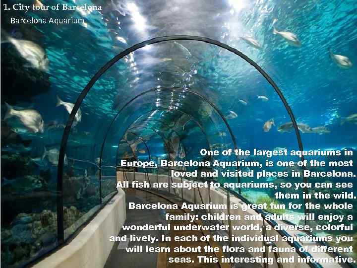 1. City tour of Barcelona Aquarium One of the largest aquariums in Europe, Barcelona